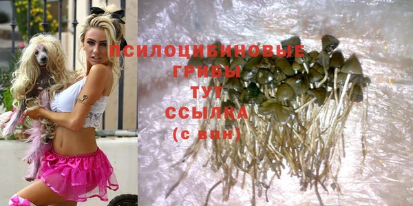 гидропоника Козельск