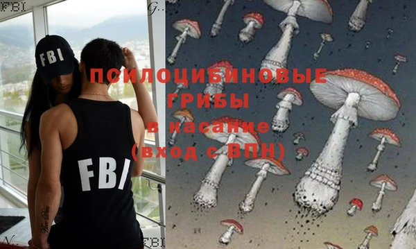 прущая мука Козловка