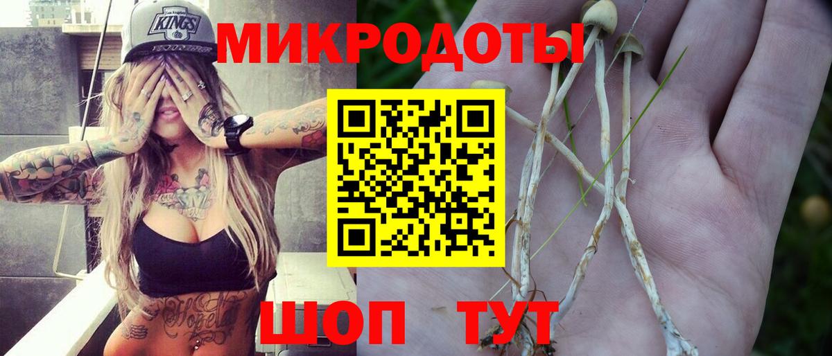 Галлюциногенные грибы GOLDEN TEACHER  наркота  Сызрань  Вход с VPN 